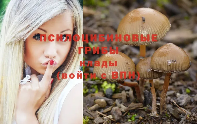 Галлюциногенные грибы Cubensis  Алупка 